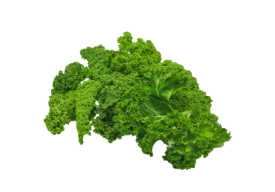 Kale